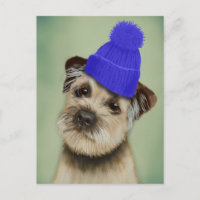 Bordure Terrier avec Casquette Bobble Bleu