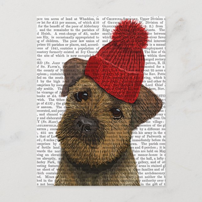 Carte Postale Bordure Terrier avec Casquette roux 3 (Devant)