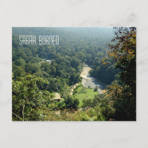 Carte Postale Borneo Rainforest Jungle Vue aérienne