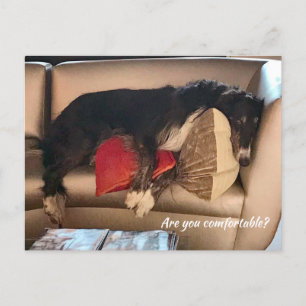 Carte postale Borzoi confortable