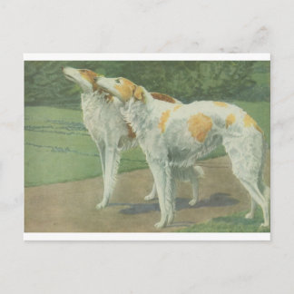 Carte Postale Borzoi (Wolfhound russe)