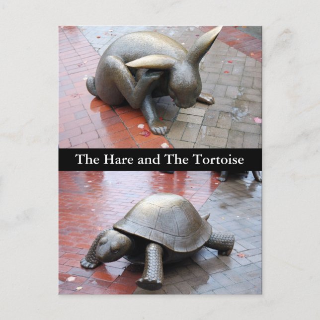 Carte Postale Boston - Le lièvre et la tortue (Devant)