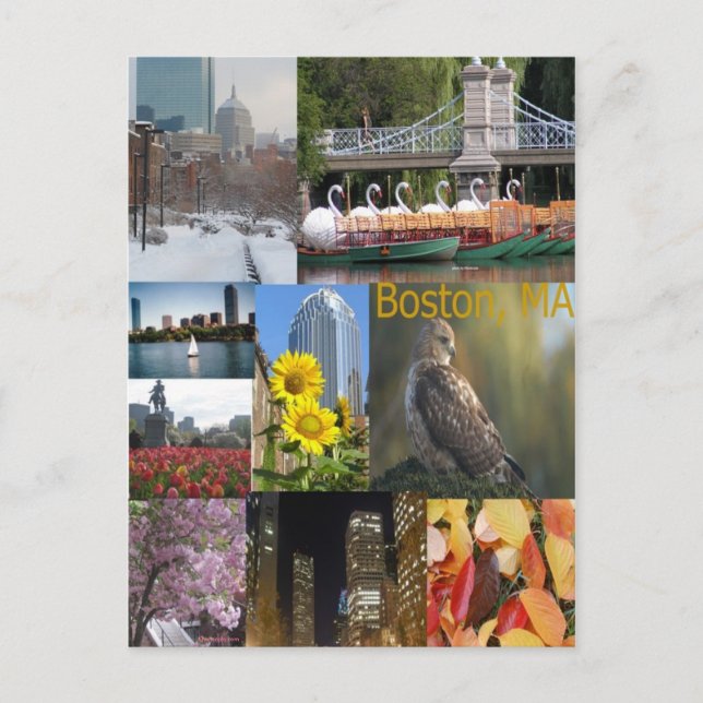 Carte Postale Boston, Massachusetts (Devant)