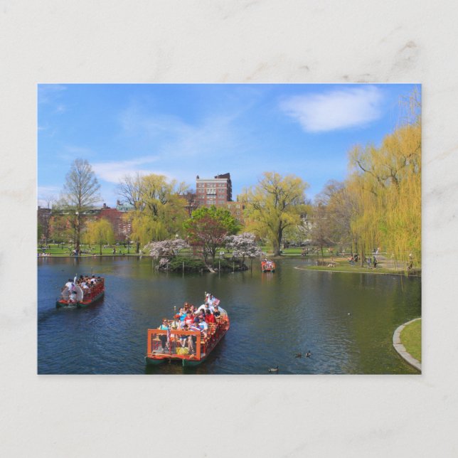 Carte Postale Boston Public Garden Swan Boats au printemps (Devant)