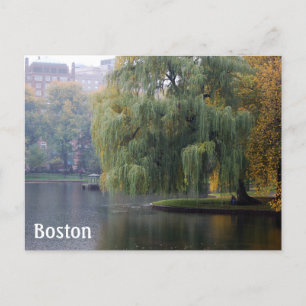 Carte Postale Boston Public Gardens
