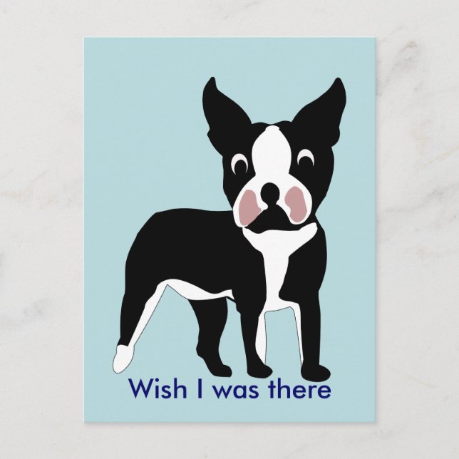 Carte postale Boston Terrier (Devant)