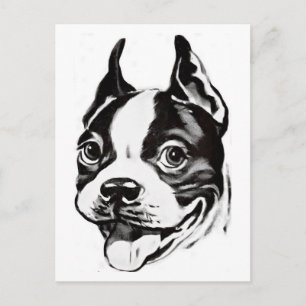 Carte postale Boston Terrier