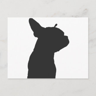 Carte Postale Boston Terrier