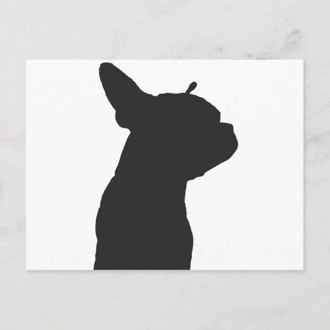 Carte Postale Boston Terrier (Devant)