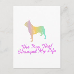 Carte Postale Boston Terrier