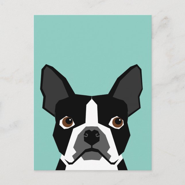 Carte Postale Boston Terrier (Devant)