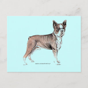 Carte Postale Boston Terrier