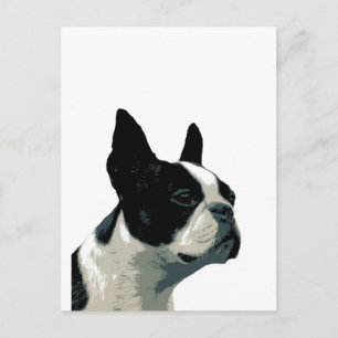 Carte Postale Boston Terrier