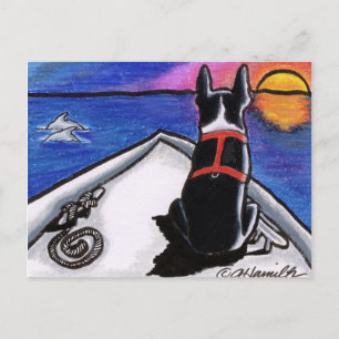 Carte Postale Boston Terrier Bateau Nautique Coucher de Soleil A