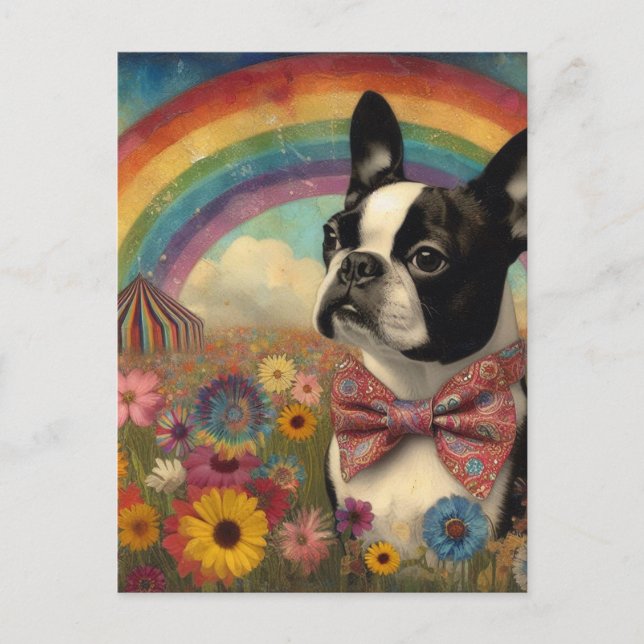 Carte Postale Boston Terrier Circus Hippie Rainbow (Devant)