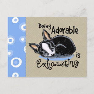 Carte Postale Boston Terrier Être adorable