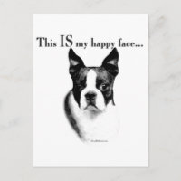 Boston Terrier Joyeux Visage