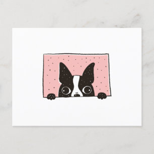 Carte Postale Boston Terrier Peeking