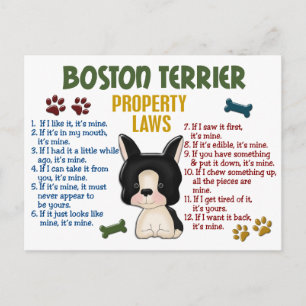 Carte Postale Boston Terrier Property Laws 4