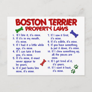 Carte Postale Boston Terrier Propriété Lois 2