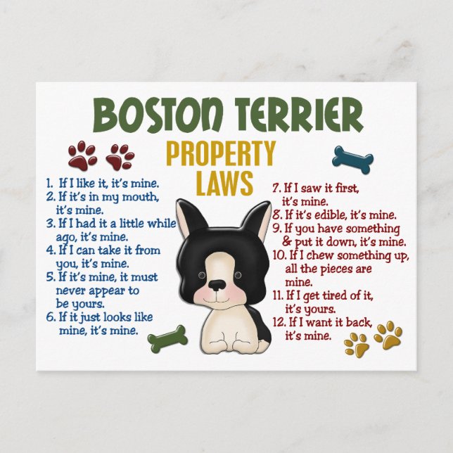 Carte Postale Boston Terrier Propriété Lois 4 (Devant)