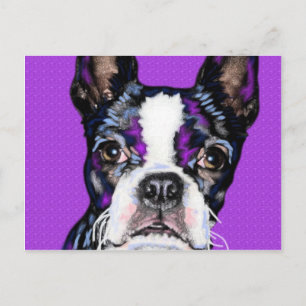 Carte Postale BostonTerrier