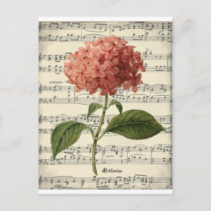 Carte postale botanique vintage avec hortensia ros