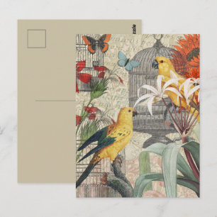 Carte Postale Botanique Vintage Oiseaux Nature Tropical Antique 