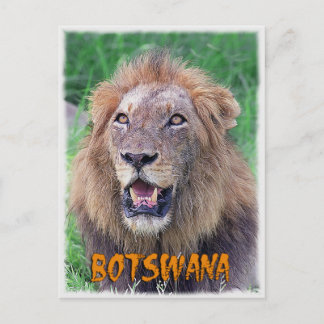 Carte Postale Botswana