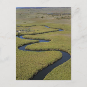 Carte Postale Botswana, Afrique. Vue aérienne de la rivière Okav