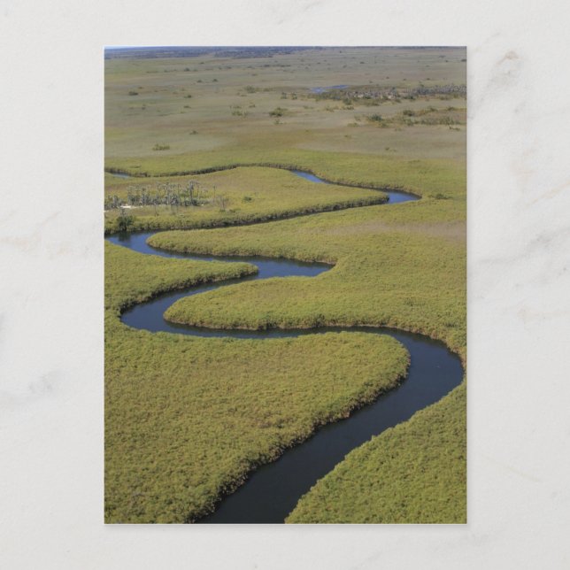 Carte Postale Botswana, Afrique. Vue aérienne fleuve Okavango. (Devant)