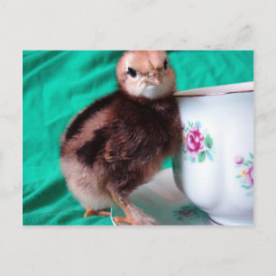 Carte Postale Bottes