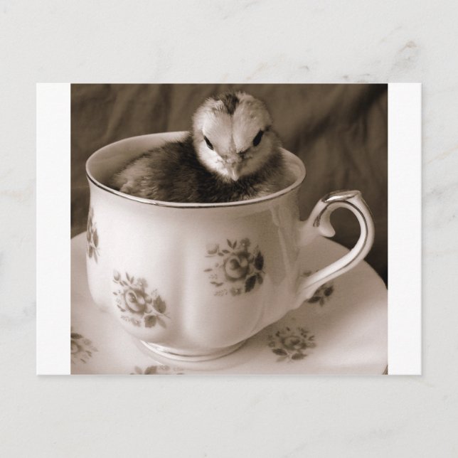 Carte Postale Bottes En Tasse De Thé (Devant)