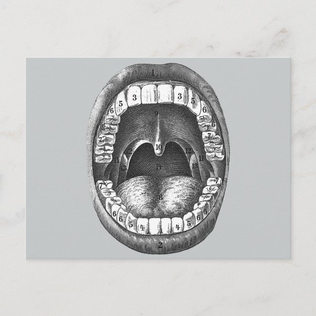 Carte Postale Bouche anatomique vintage (Devant)