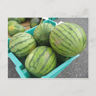 Carte Postale Bouche de pastèque.