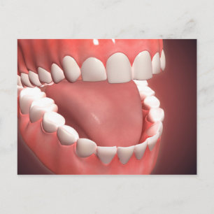Carte Postale Bouche Humaine Ouverte, Montrant Dents, Gums Et La