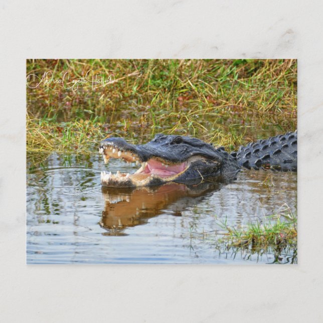 Carte Postale Bouche Ouverte (Devant)