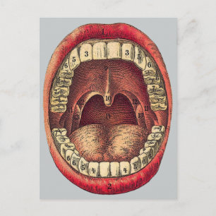 Carte Postale Bouche vintage