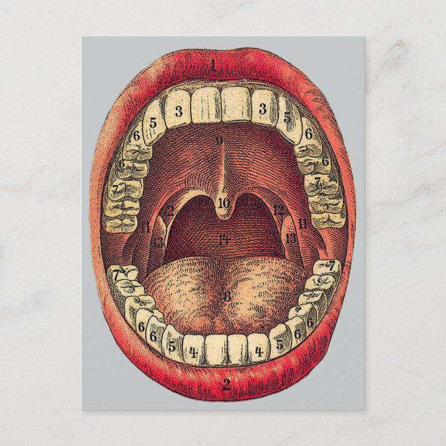 Carte Postale Bouche vintage (Devant)