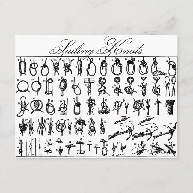 Carte Postale Bouches à voile (Devant)