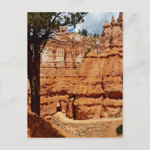 Carte Postale Boucle Peekaboo à Bryce Point Bryce Canyon Nationa