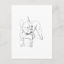Boucledog français – Illustration de chien dessiné