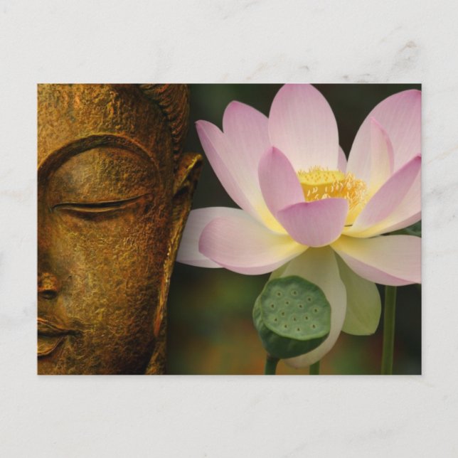 Carte Postale Bouddha et fleur (Devant)