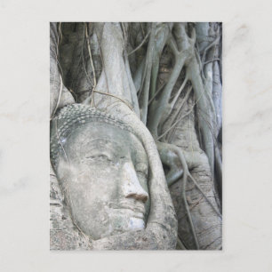 Carte postale Bouddha Head