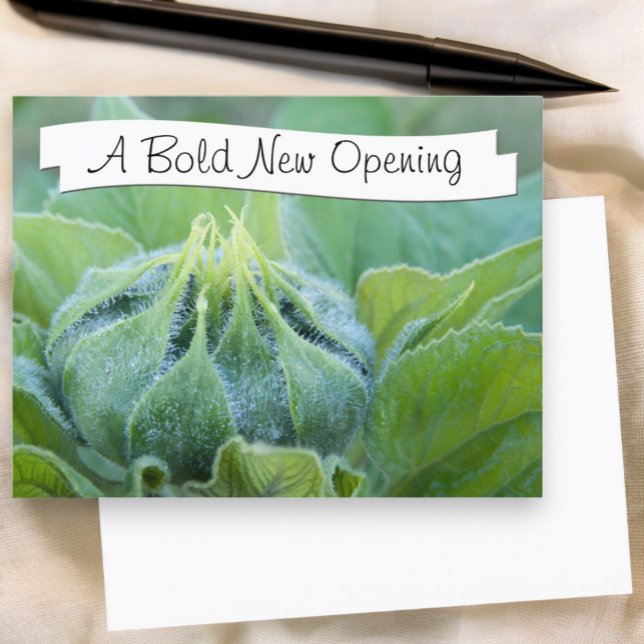 Carte Postale Boue De Tournesol Humide Agrandir la photo (front dew covered sunflower photograph postcard with template text and blank back)