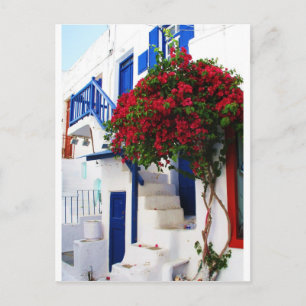 Carte Postale Bougainvilliers poussant devant une maison, Mykono