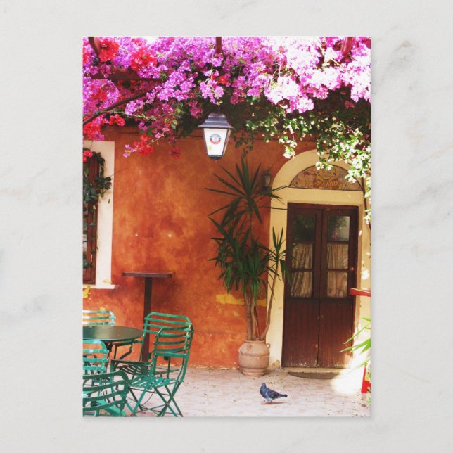 Carte Postale Bouganvillée s'élevant en dehors d'une maison, (Devant)