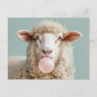 Boule blanche de mouton laineux soufflant rose bul