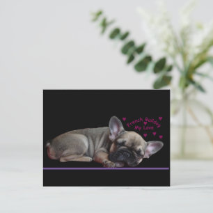 Carte Postale Bouledogue français