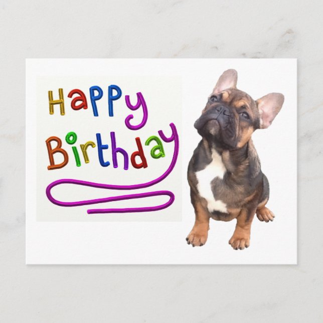 Carte Postale Bouledogue français Anniversaire Bouledogue frança (Devant)